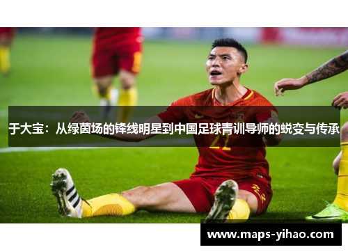 于大宝：从绿茵场的锋线明星到中国足球青训导师的蜕变与传承